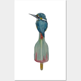 Kingfisher on ice Posters and Art